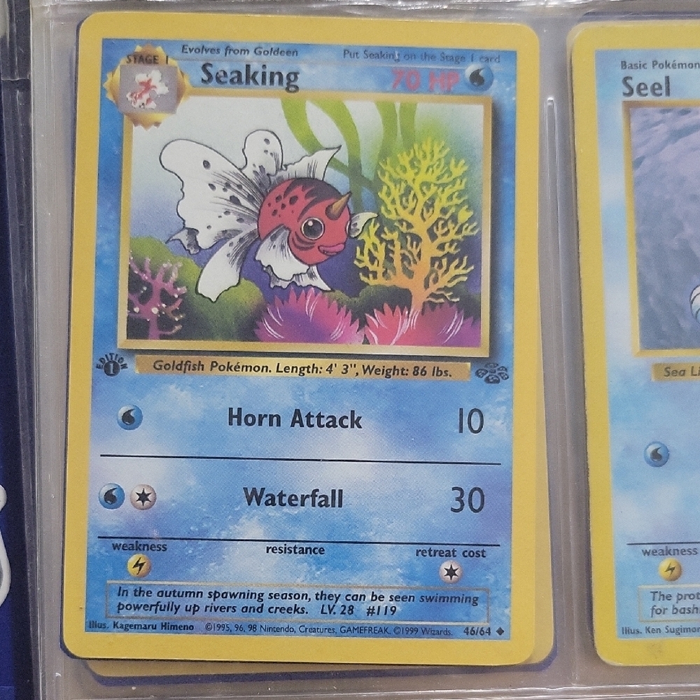 Pokémon Card Seaking